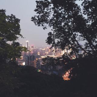 孤身化为林中燕」只为一人赏呢喃