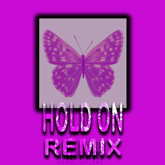 Hold on （Nemolikeflame remix）