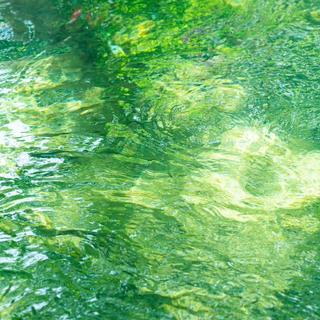 净化耳朵 | 让喧嚣与沉闷被关在音乐之外