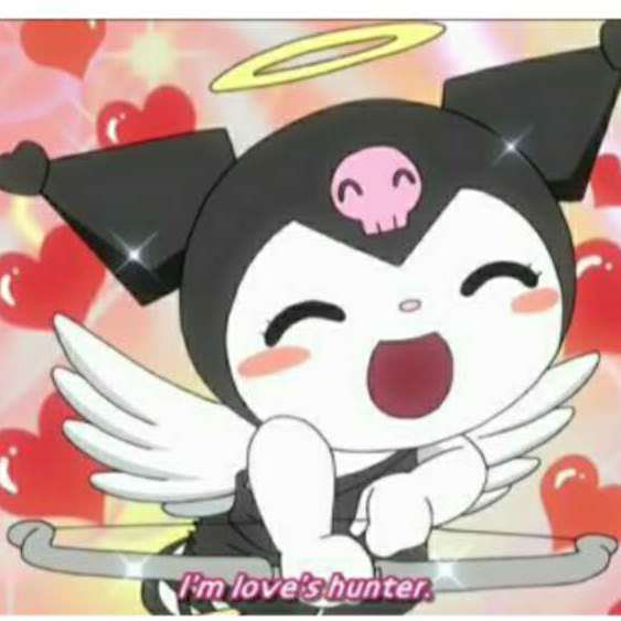‘kuromi’