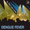 Dengue Fever - Today I Learnt to Drink