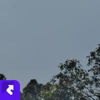 龚玉坤 - 也许(古风版)