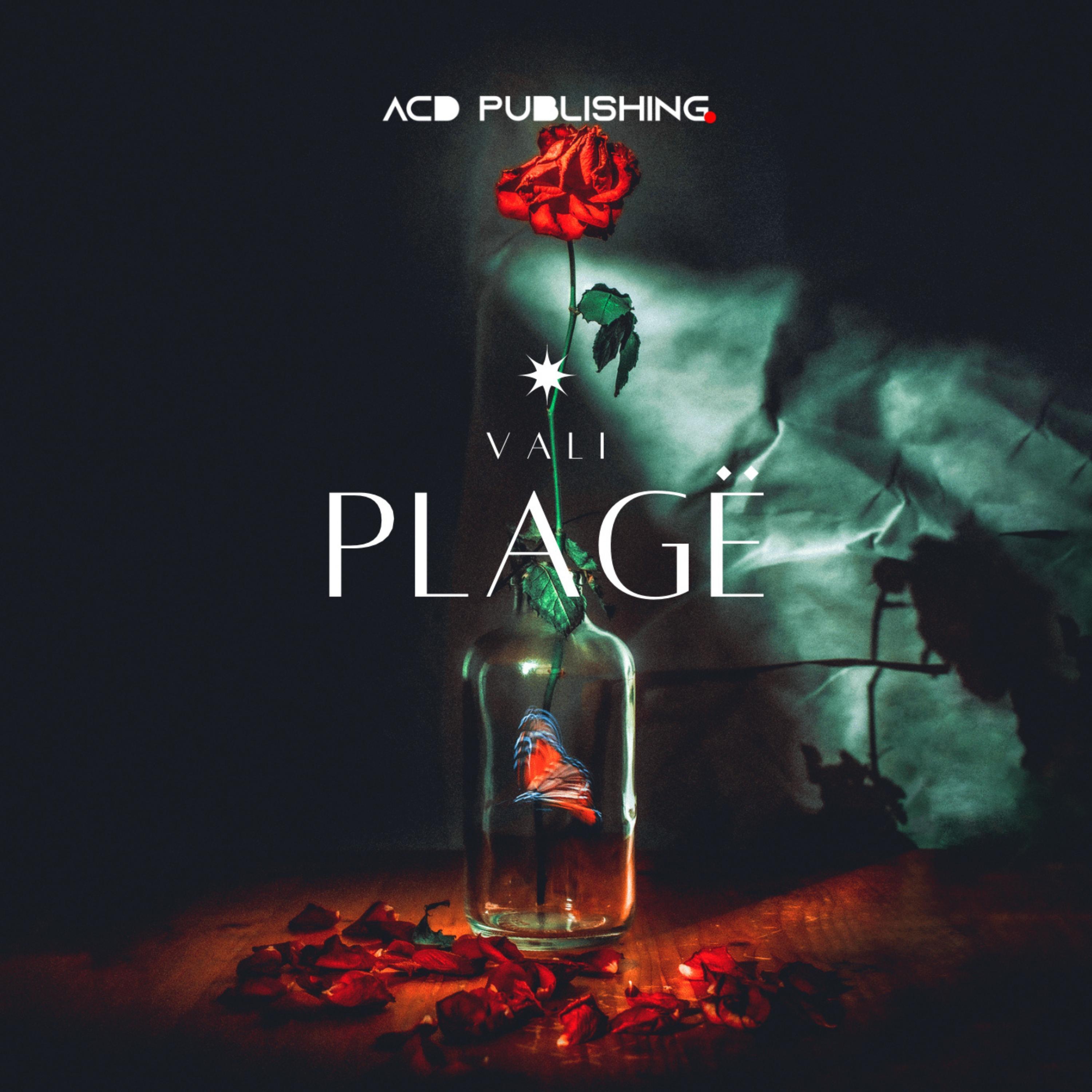Plagë (Remix)