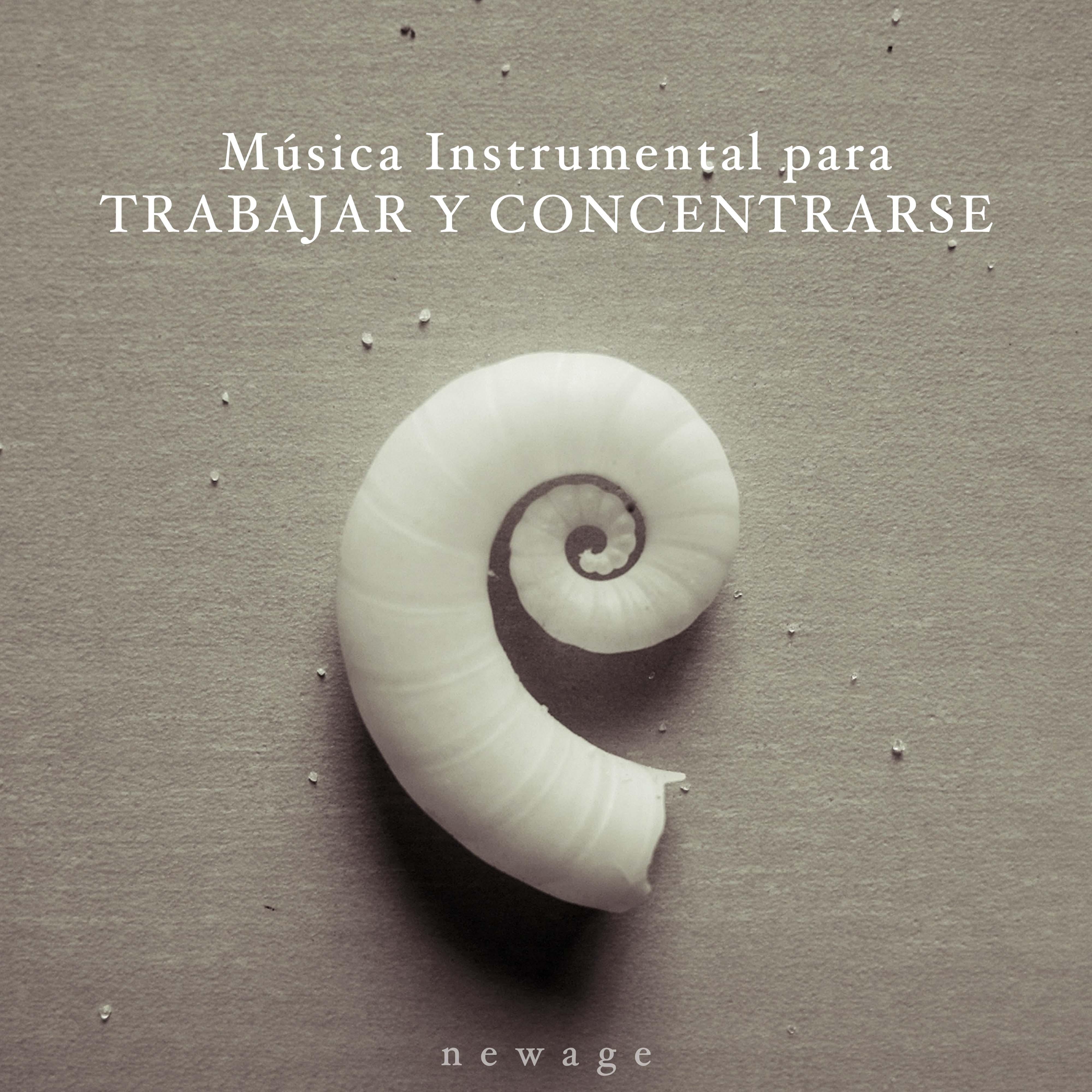 Música Instrumental para Trabajar y Concentrarse