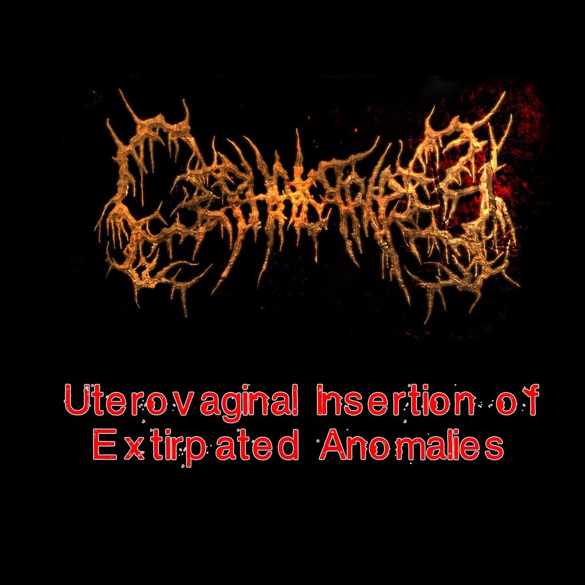 Uterovaginal Insertion of Extirpated Anomalies
