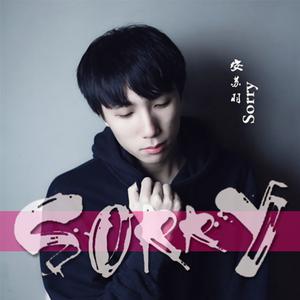 安苏羽 - Sorry(原版立体声伴奏)
