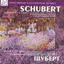 Schubert: Symphony No.8 in B Minor, D.759 "Unfinished" - Symphony No.9 in C Major, D.944 "Great"专辑