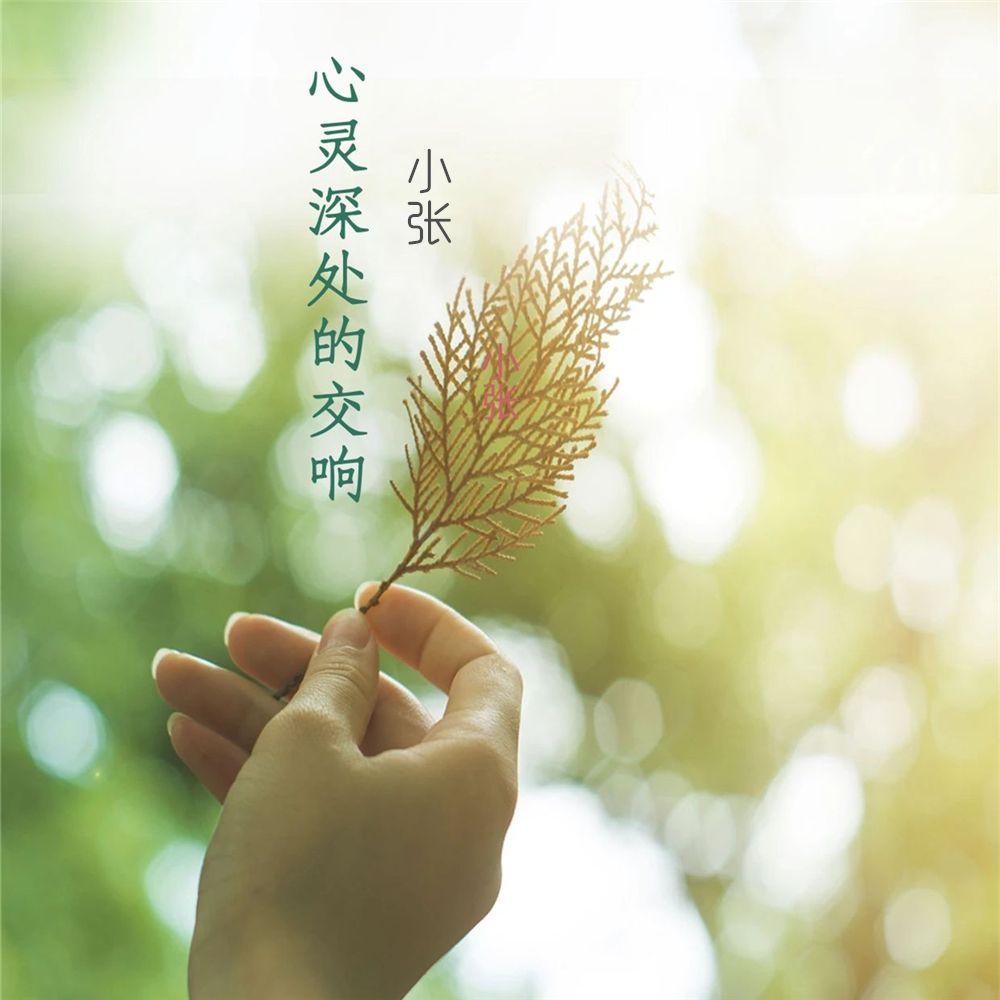 Steamed Bun歌曲封面