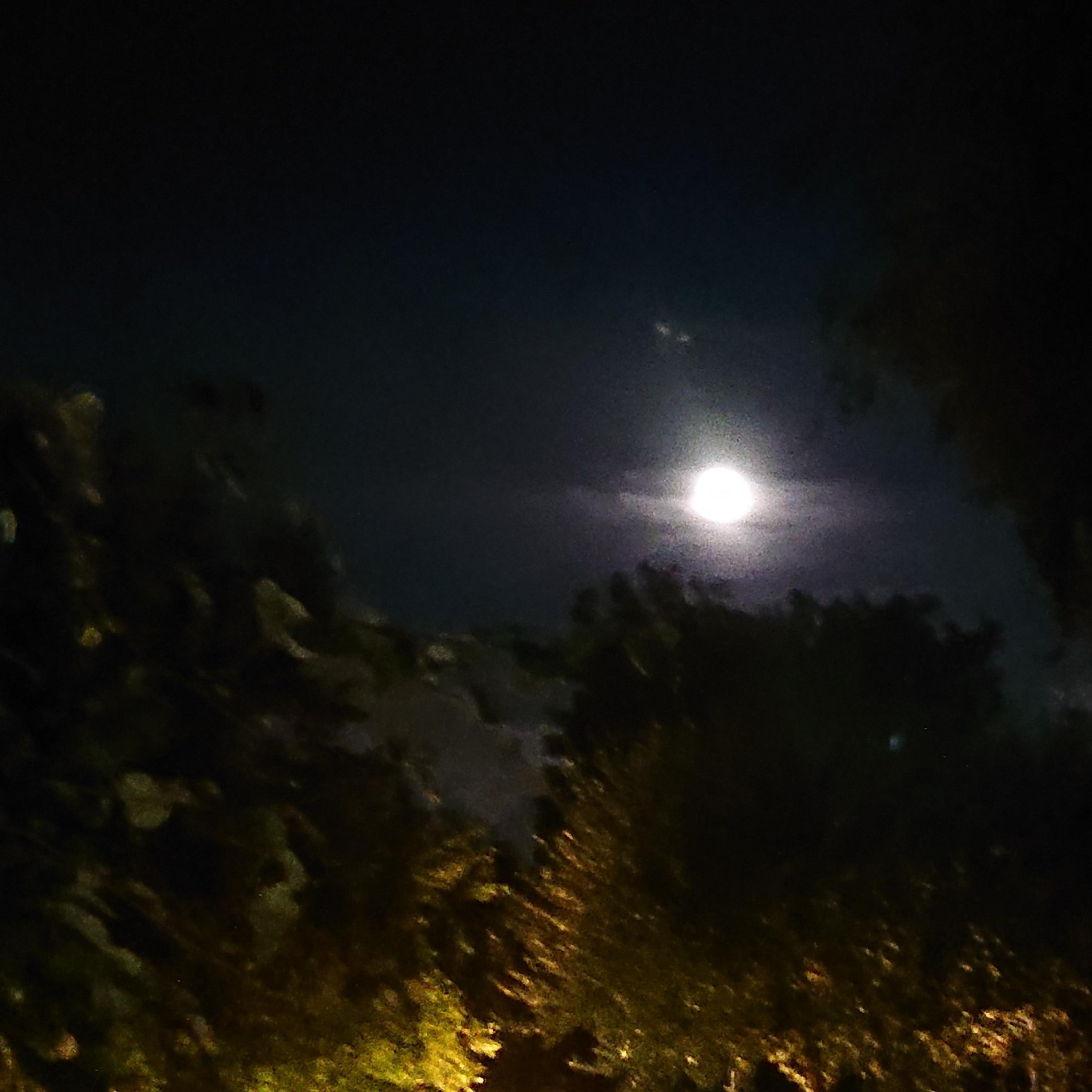 Amori del passato