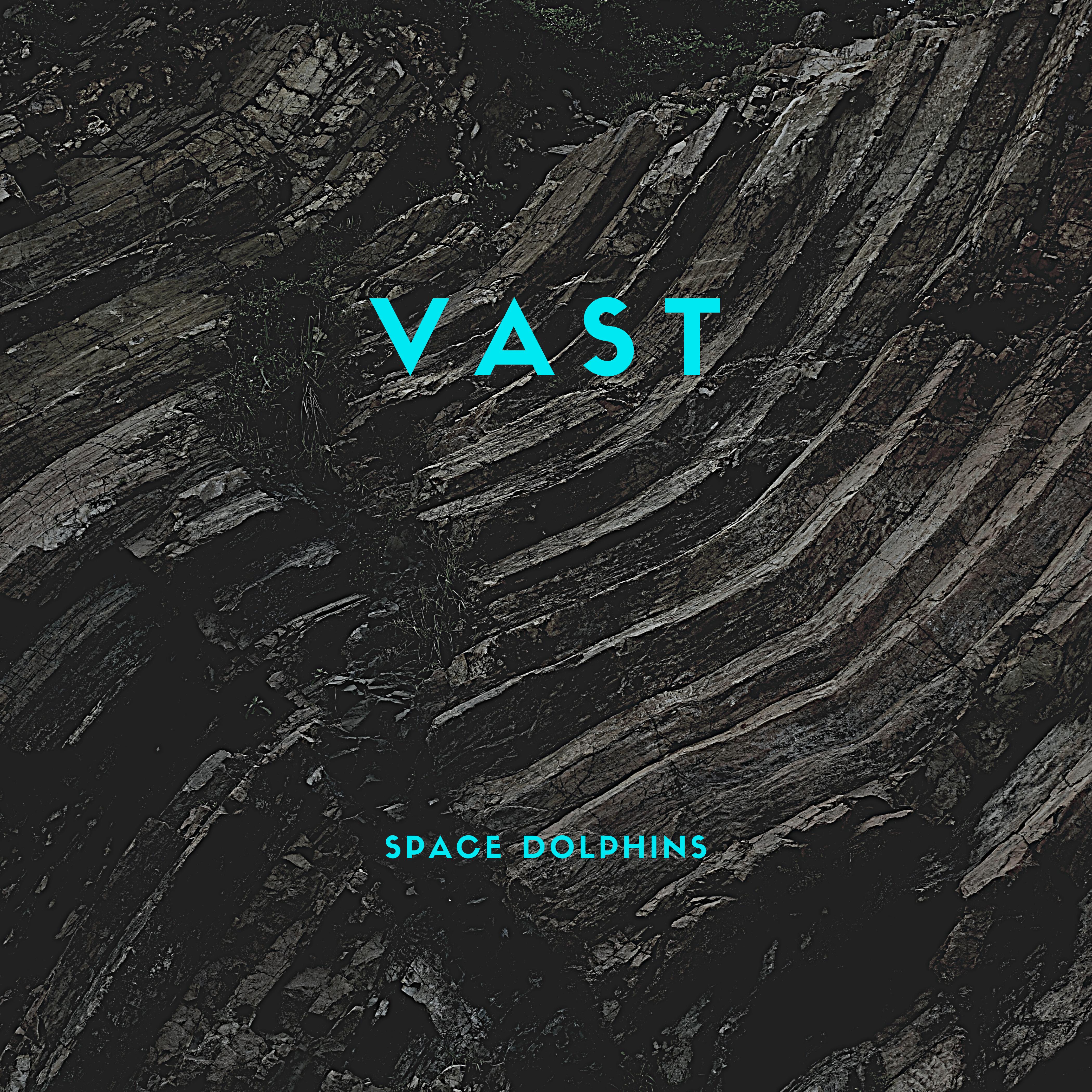 The Vast
