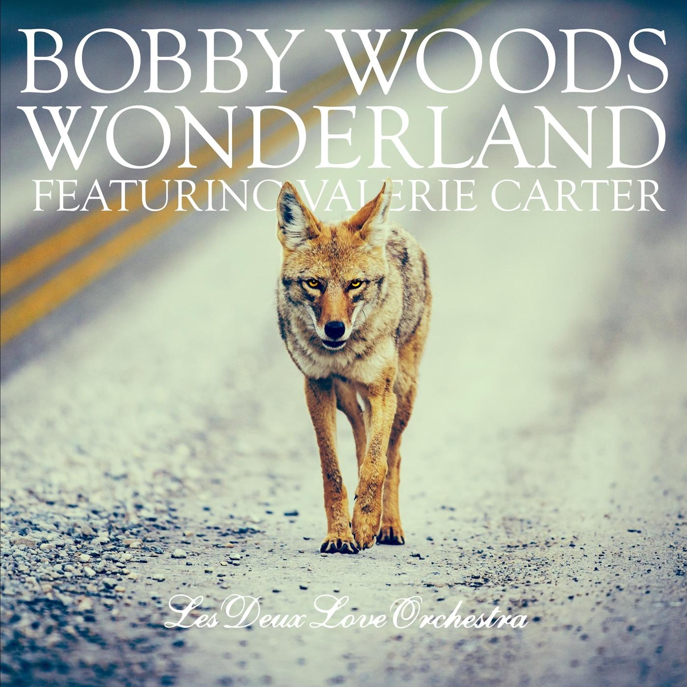 Wonderland (feat. Valerie Carter & Les Deux Love Orchestra)