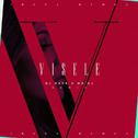 Visele (Dj Dark & MD.Dj Remix)专辑