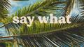 say what专辑