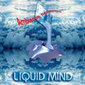 Liquid Mind I: Ambience Minimus