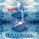 Liquid Mind I: Ambience Minimus专辑