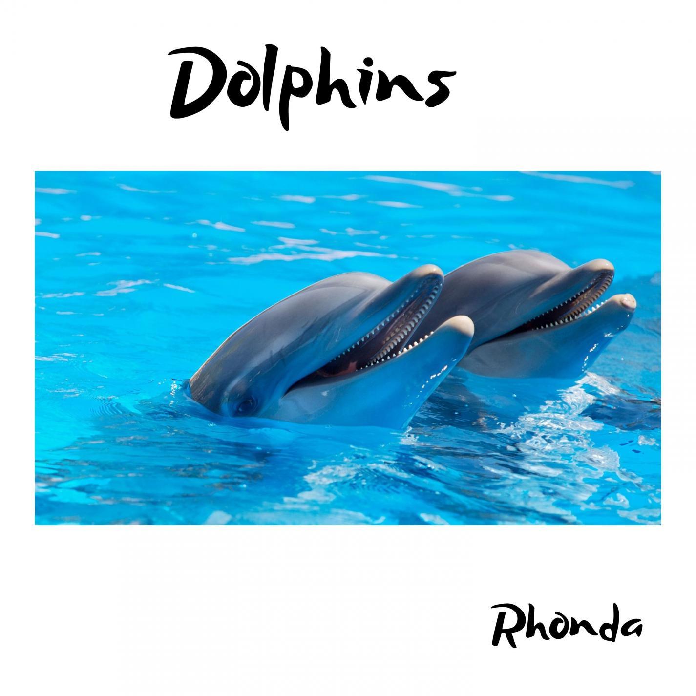 Dolphins