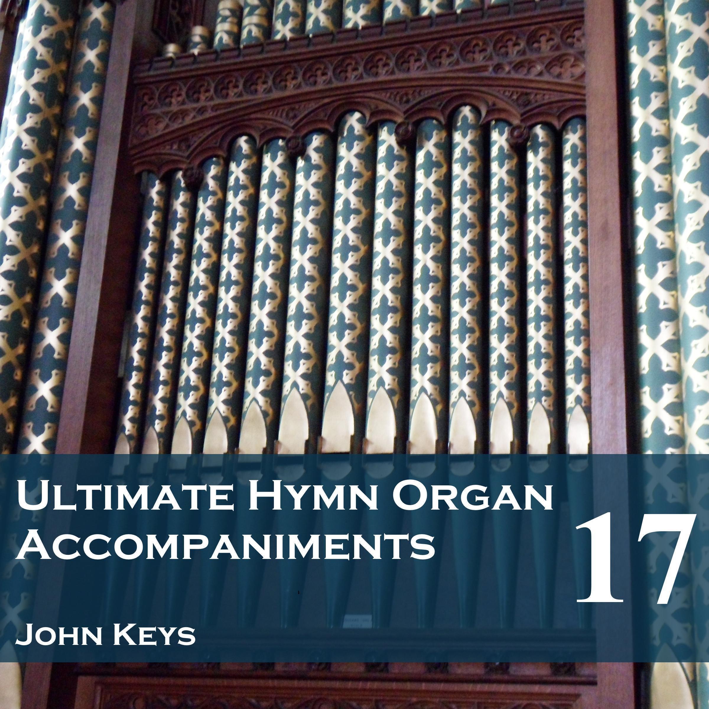 Ultimate Hymn Organ Accompaniments, Vol. 17