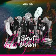 SHUT DOWN (闭嘴吧您嘞)