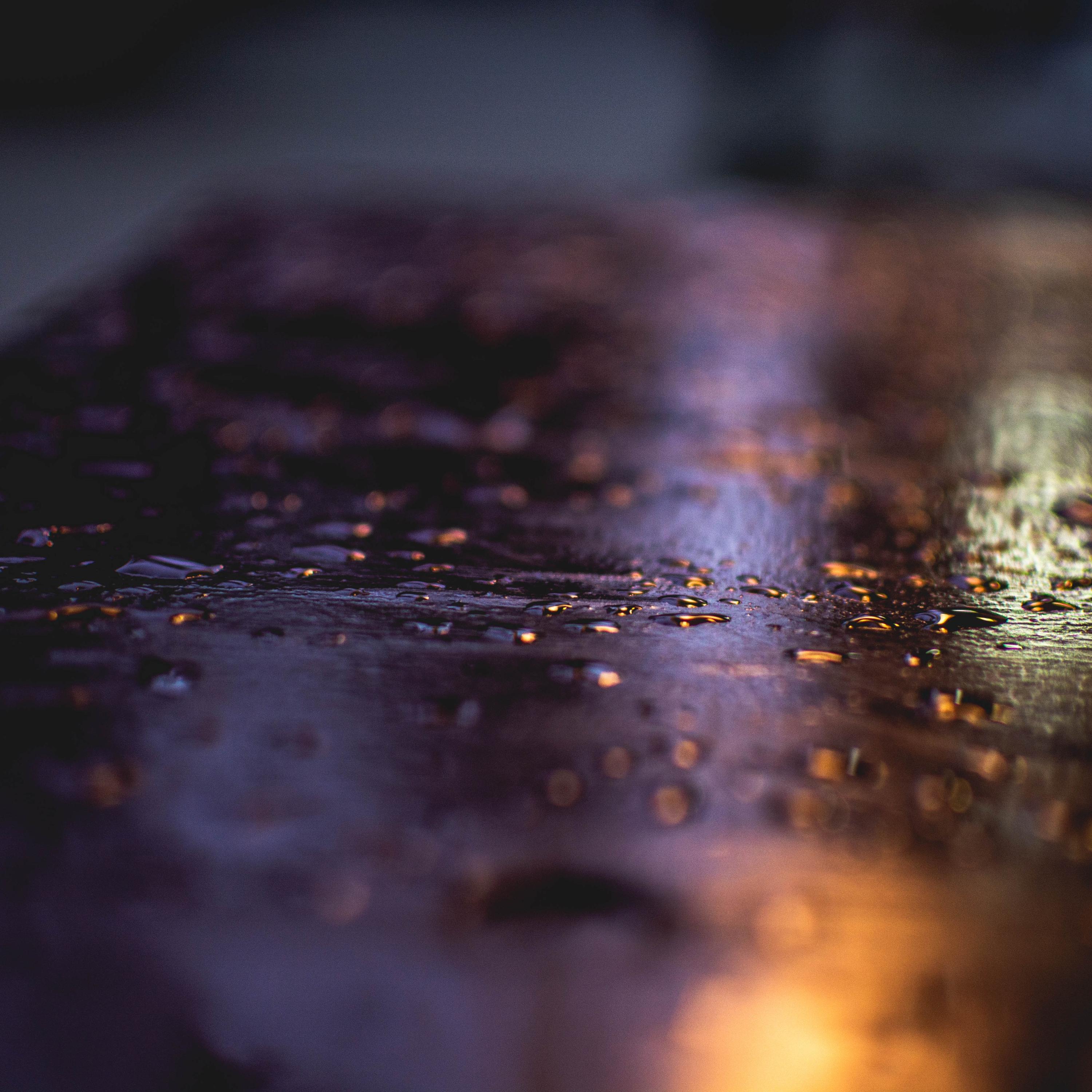 Peaceful Melodies | Natural Rain Recording