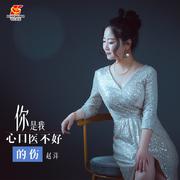 你是我心口医不好的伤 (DJ版)