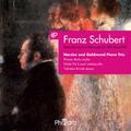 Schubert: Piano Trio in E-Flat Major, Op. 100, D. 929