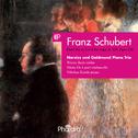 Schubert: Piano Trio in E-Flat Major, Op. 100, D. 929专辑