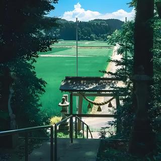 「夏末温度计·从灼热到微凉的听觉渐变」