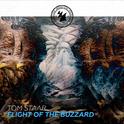 Flight Of The Buzzard专辑