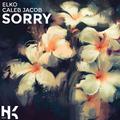 Sorry (feat. Caleb Jacob)