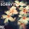 Sorry (feat. Caleb Jacob)专辑