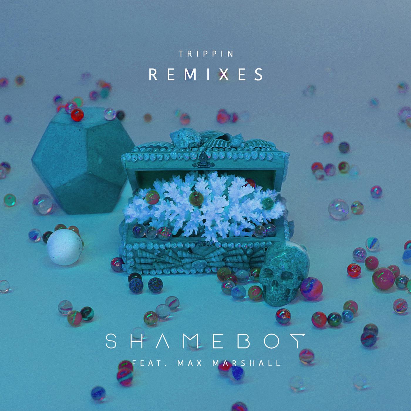 Trippin (Remixes) (Remixes)
