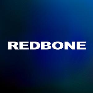 Wounded Knee - Redbone (Karaoke Version) 带和声伴奏