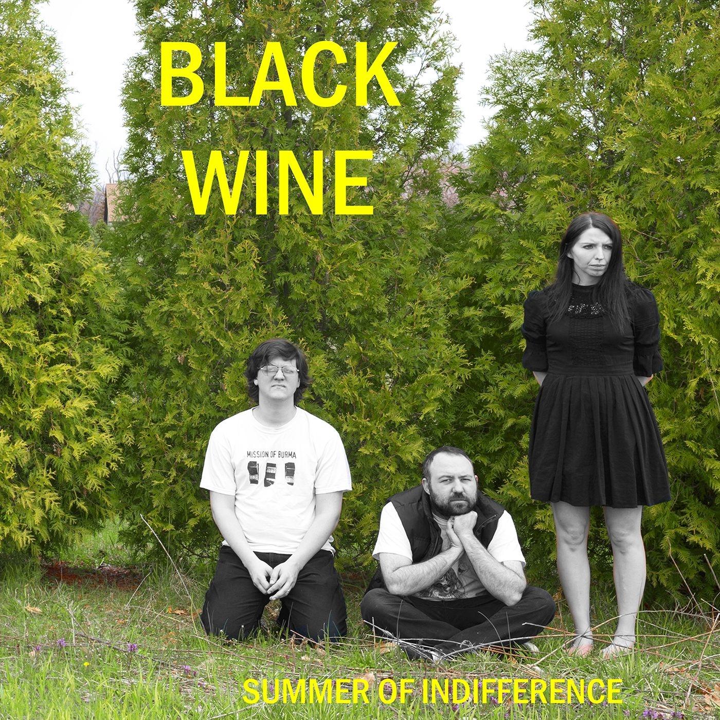 Summer Of Indifference