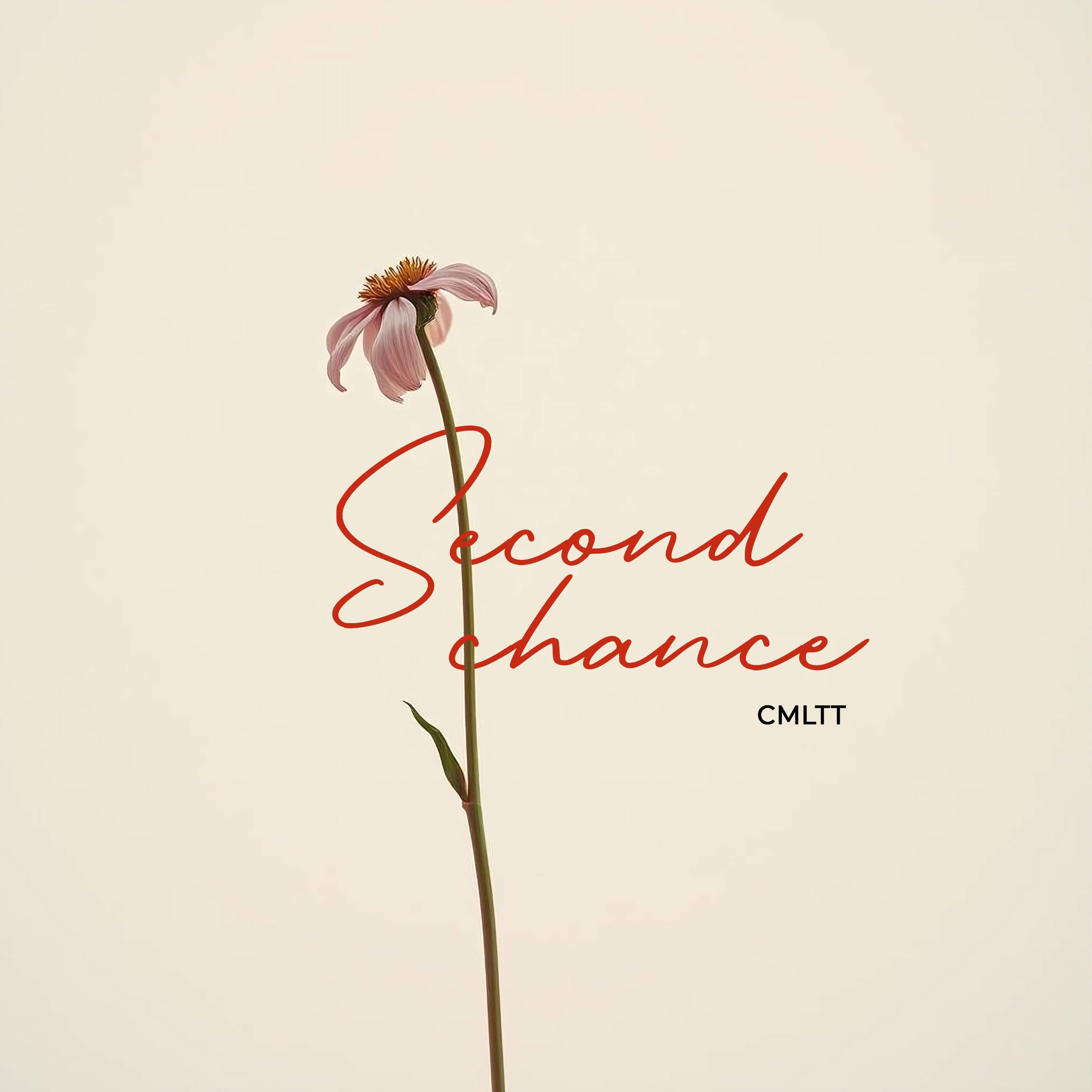 우리의 가장 아름다운 날들