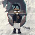 TM88 type