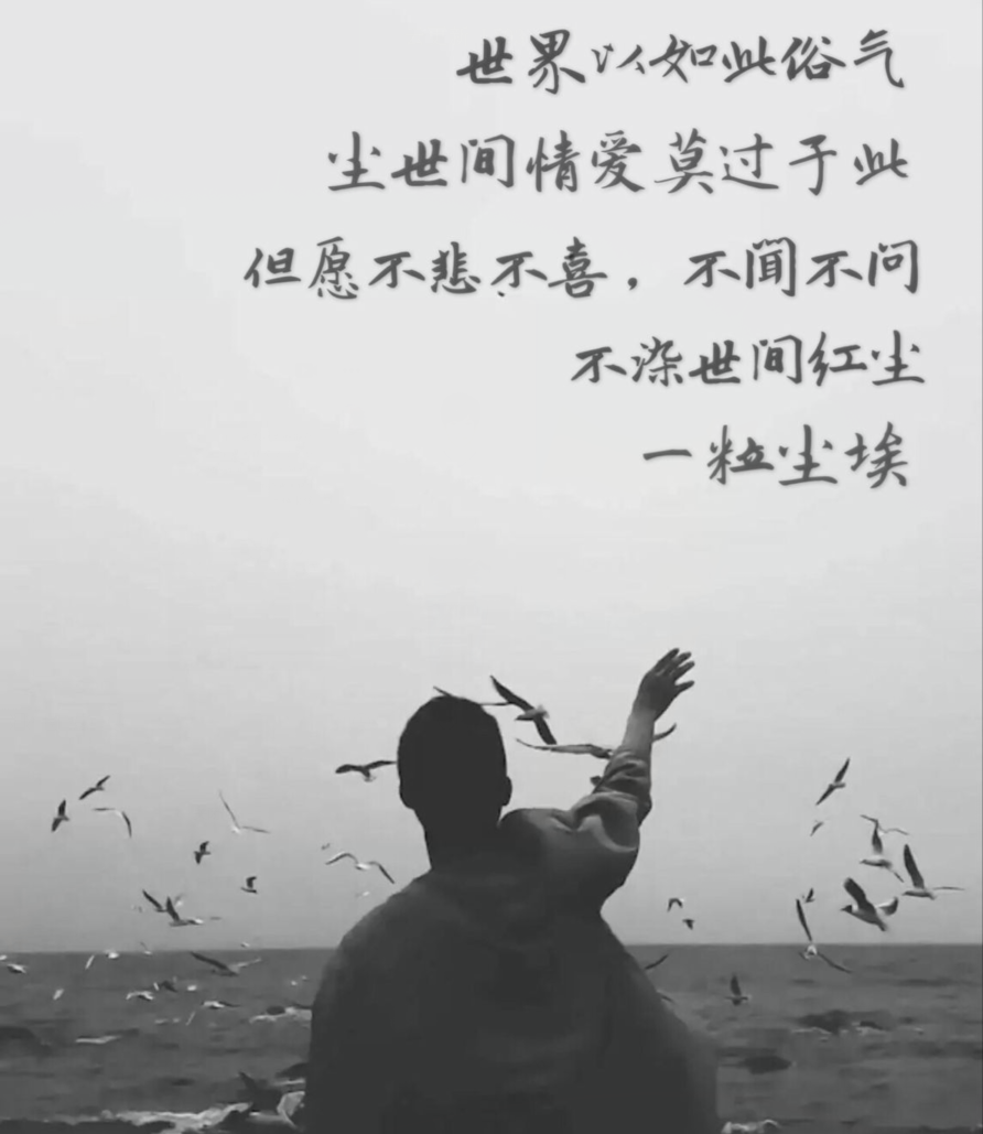 他与她专辑