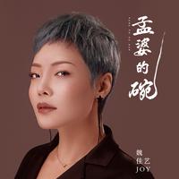 魏佳艺 - 斩不断的执念(原版立体声伴奏)