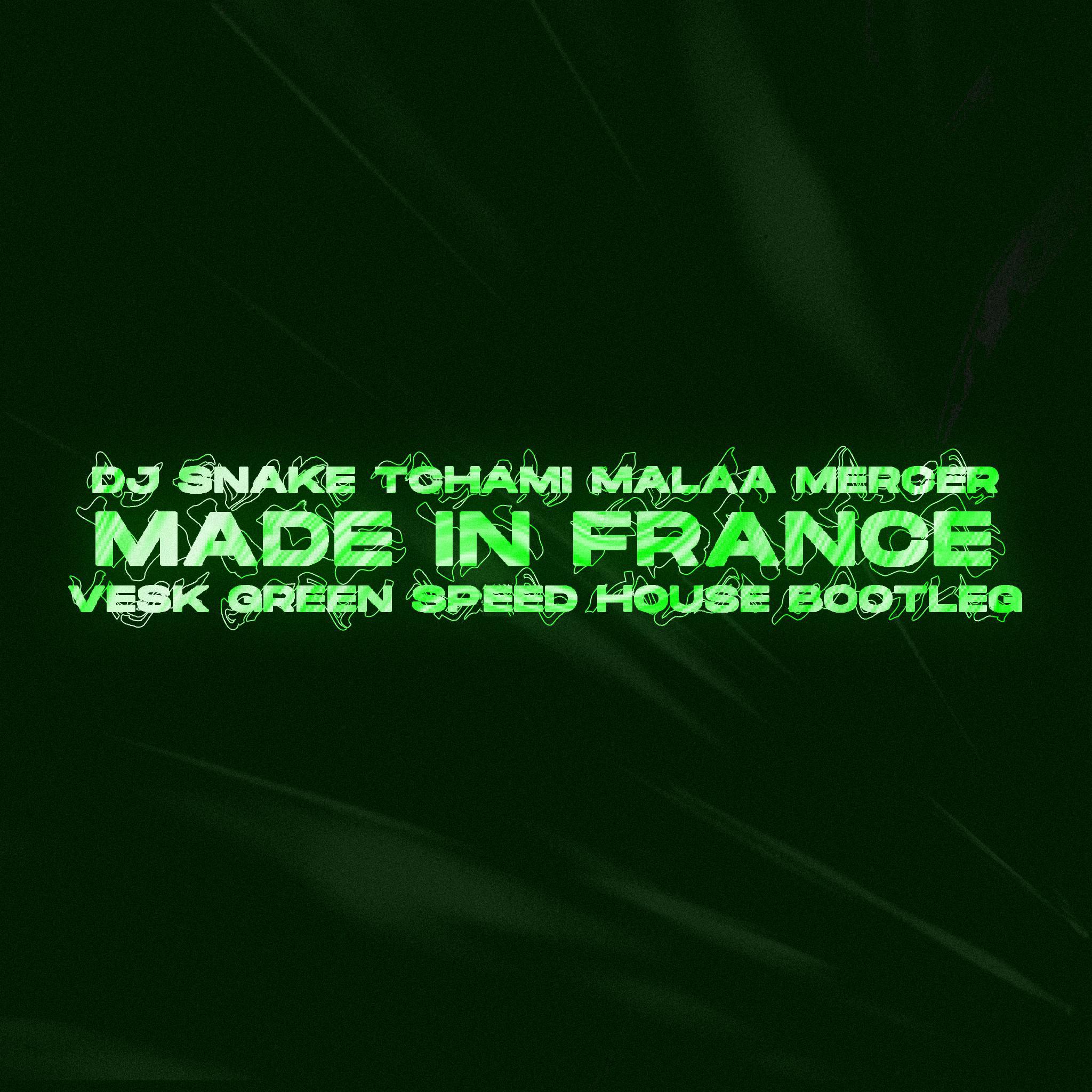 Made In France (VESK GREEN 青菜 Speed House Remix)