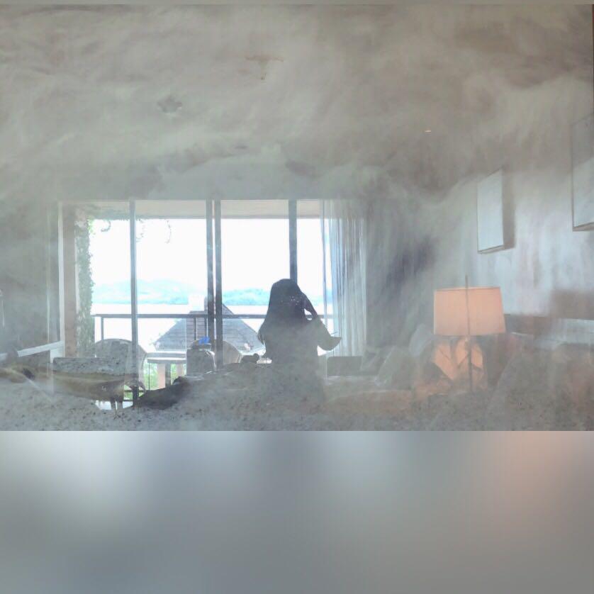 误爱-鹿仔（cover赵乃吉）