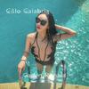 Culo Calabria专辑