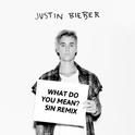 What do you mean(SIN remix)专辑