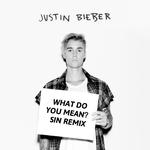 What do you mean(SIN remix)专辑