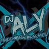 DJ ALY o INDOMÁVEL o IMPARÁVEL - Vai Voltar pra Casa Com a Bunda Marcada