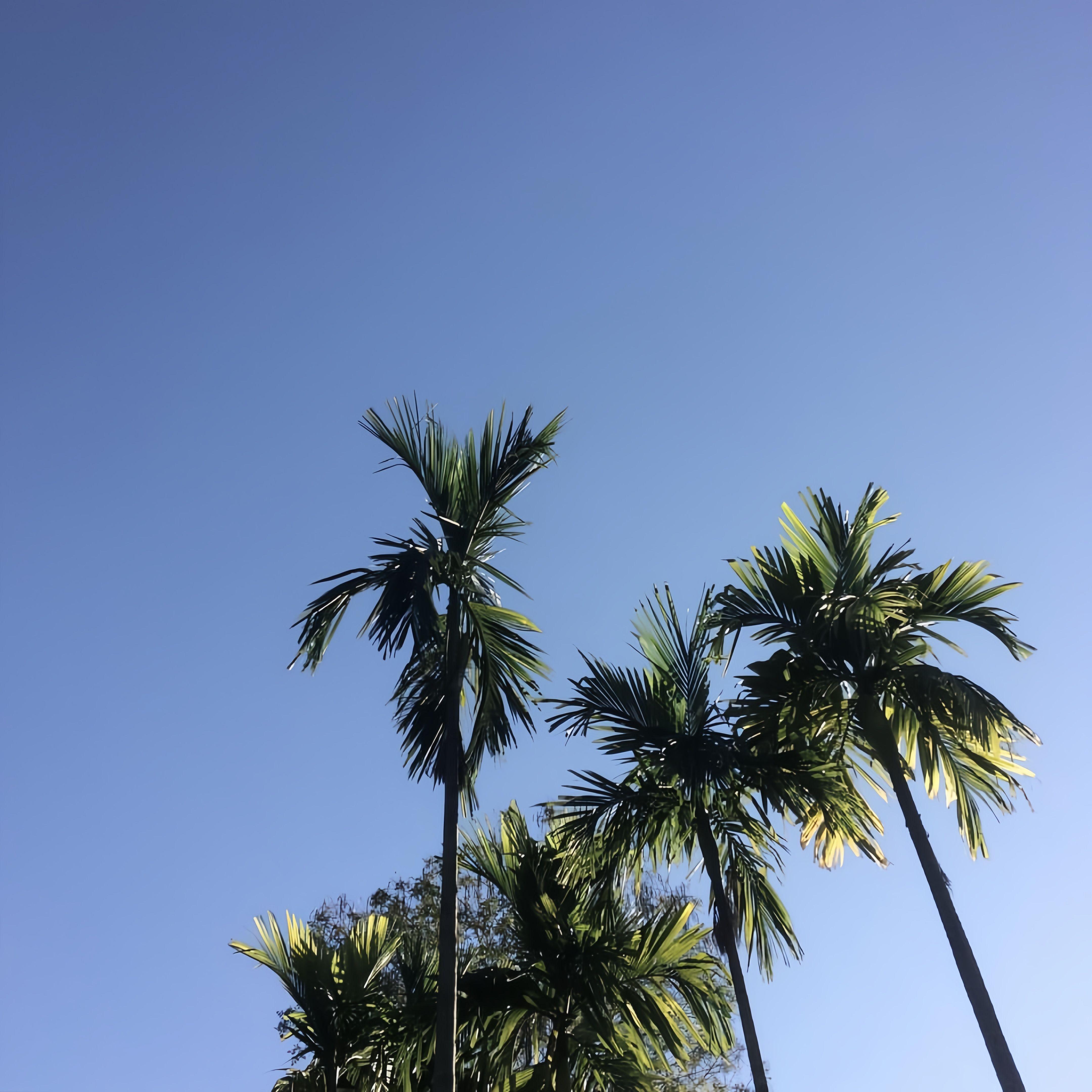 Closer（Deep Mix）