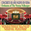 Concierto de Año Nuevo en Viena