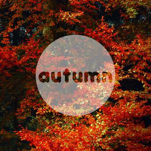 Autumn leaves - Eric Clapton
