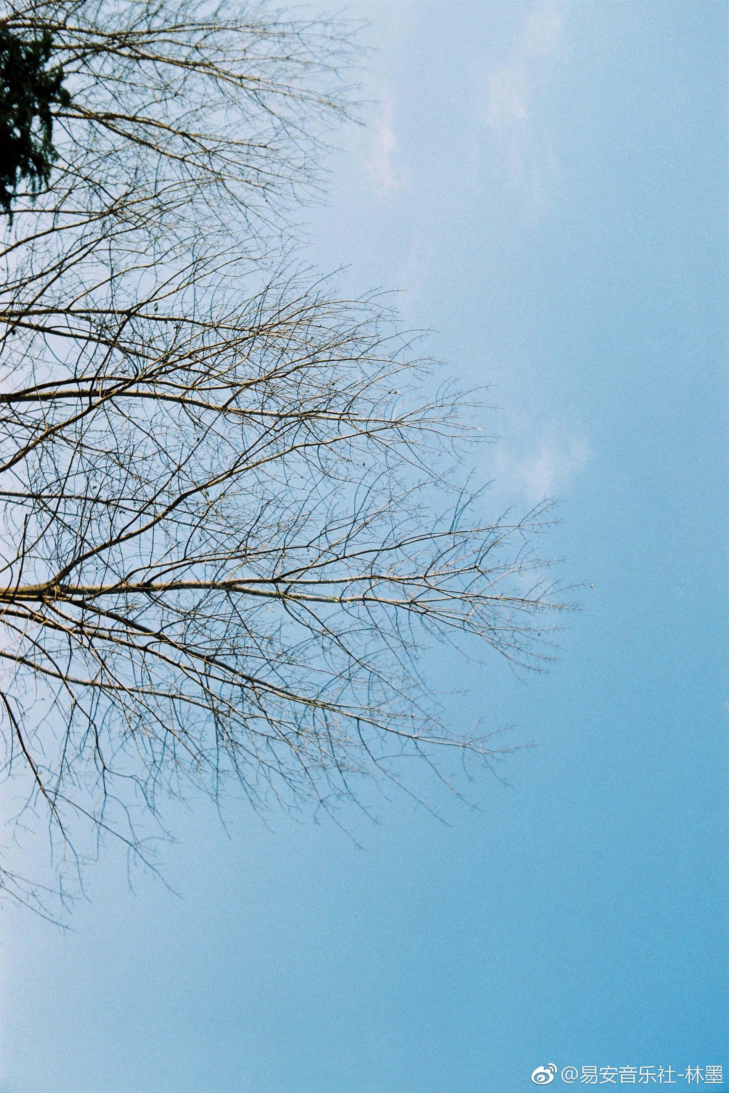 口袋的天空「黄其淋（林墨）」（翻自 张韶涵）