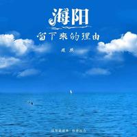 赵照 - 海阳 - 留下来的理由 （原版立体声）