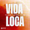 Vida Loca专辑