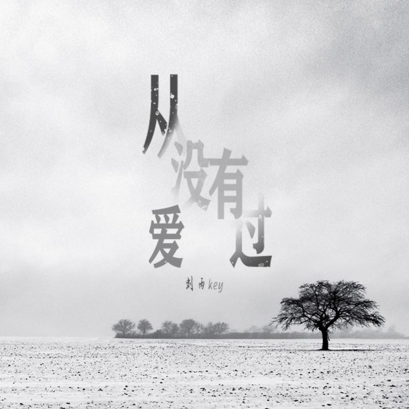 从没有爱过